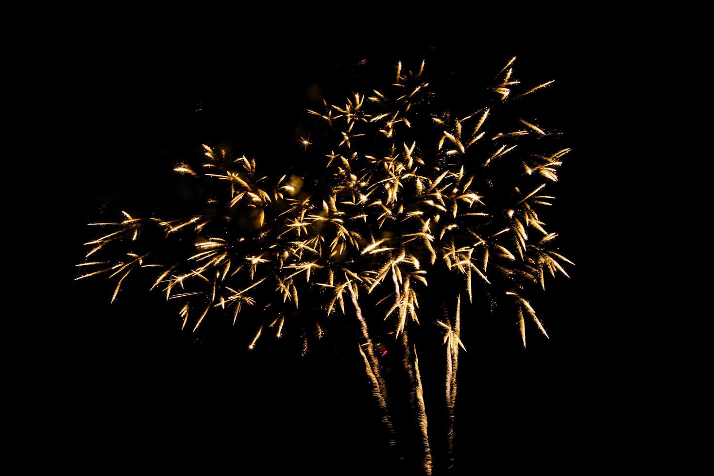 buntes feuerwerk gegen einen schwarzen nacht sky.fireworks für neues jahr. Wunderschönes buntes Feuerwerk auf dem städtischen See zum Feiern auf dunklem Nachthintergrund. foto
