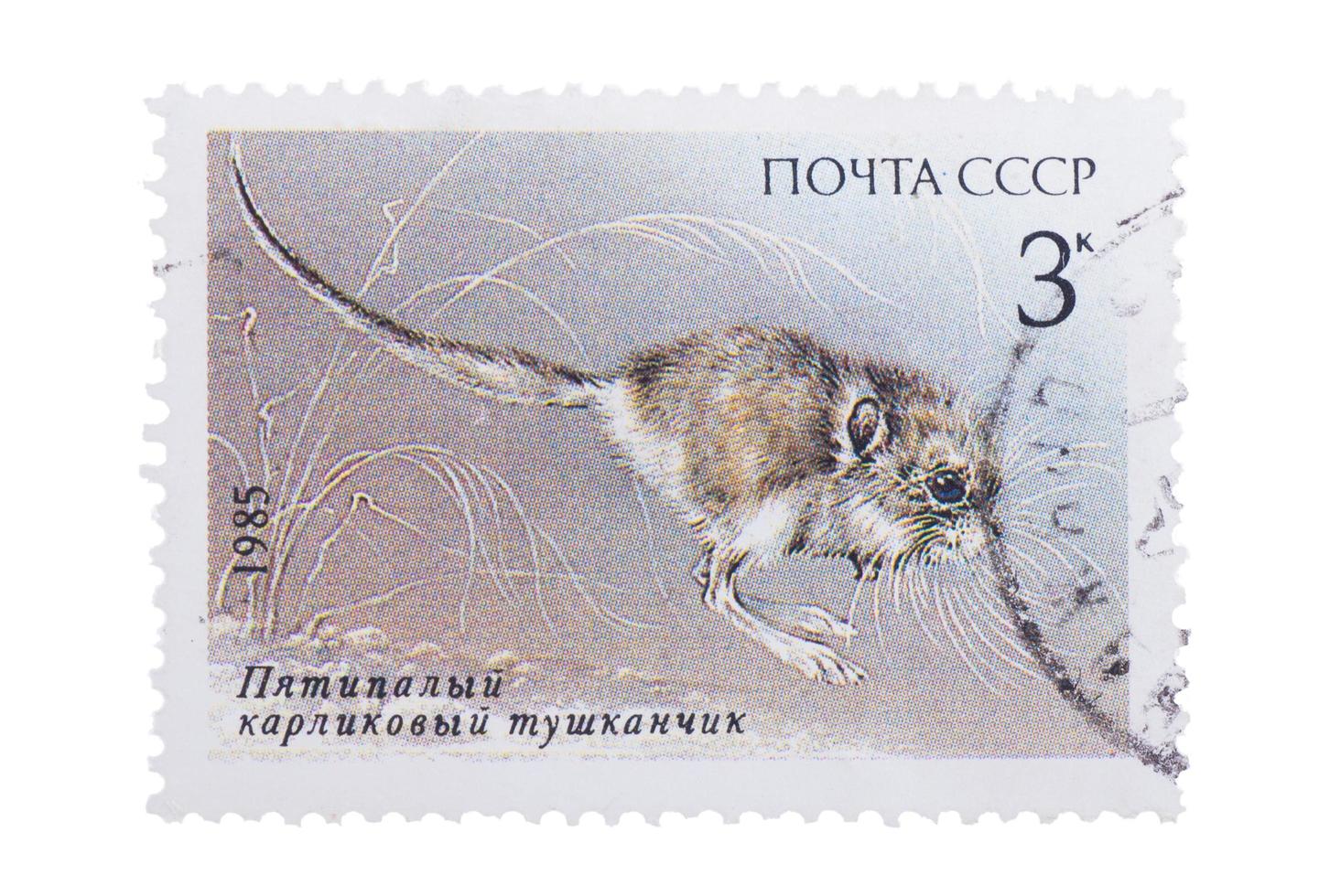 UdSSR - ca. 1985. Eine in gedruckte Briefmarke zeigt ein Bild von Pygmäen foto