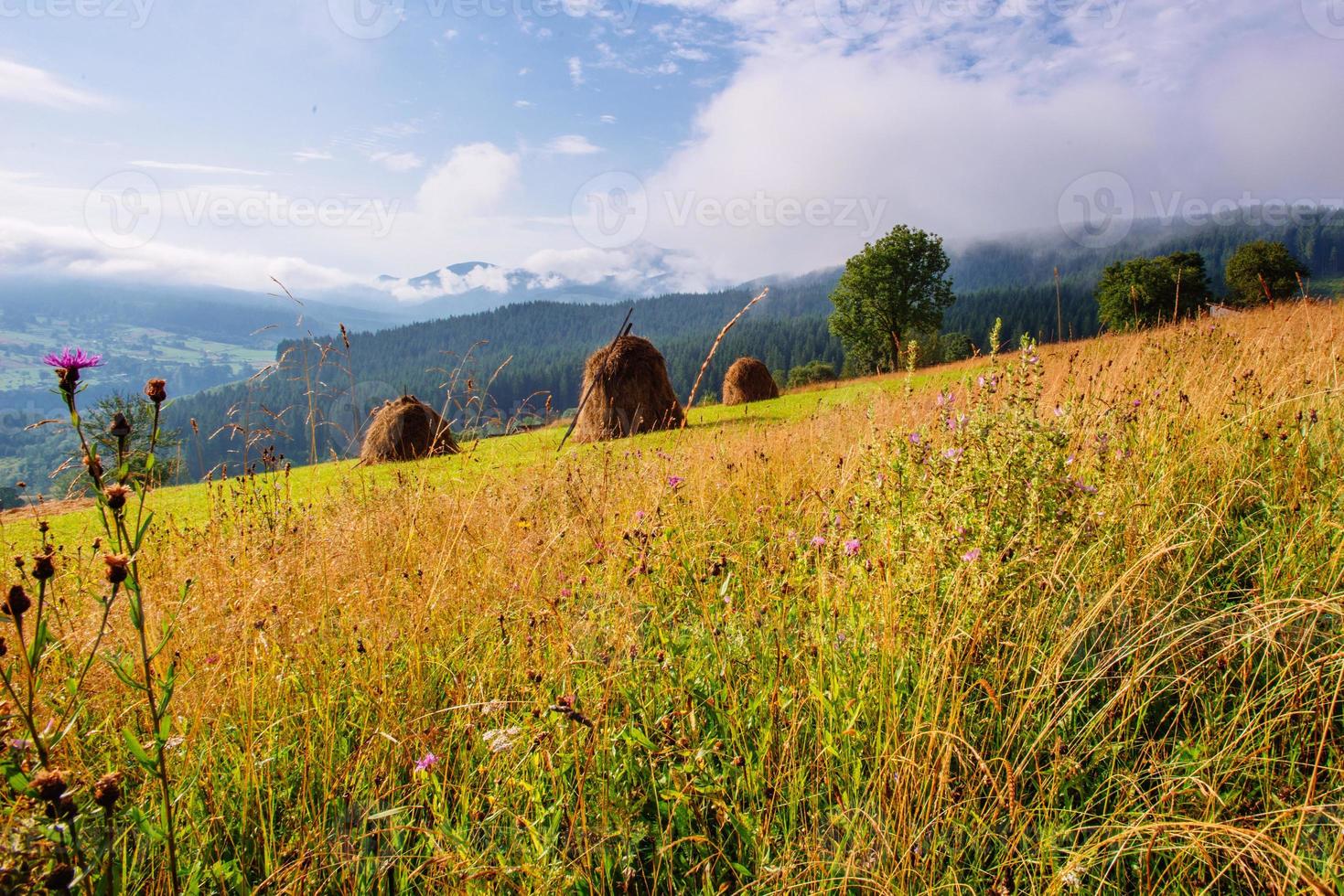 schöner sonniger tag ist in den bergen foto