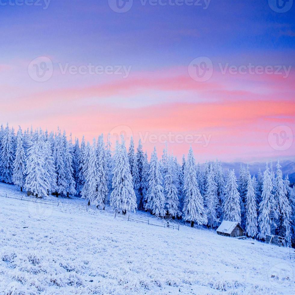Hütte in den Bergen im Winter foto