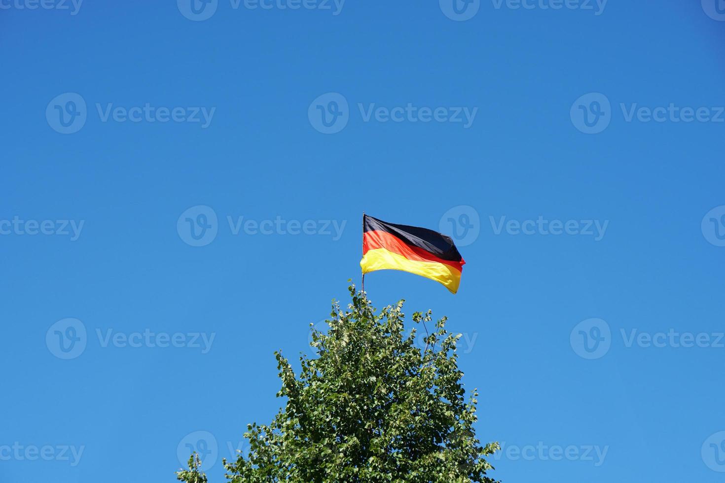 deutsche flagge auf baum foto