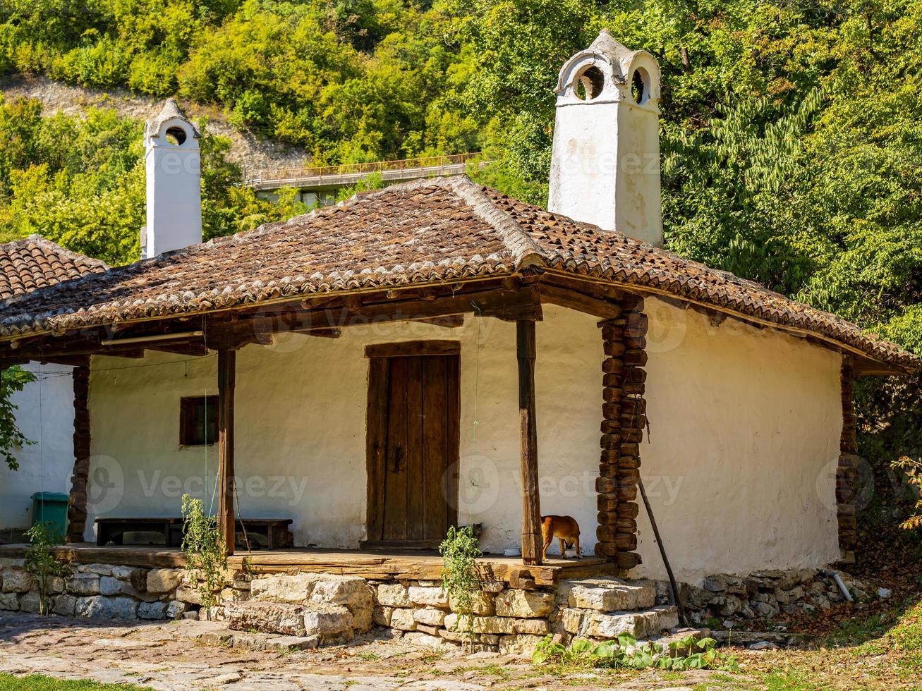 traditionelles serbisches haus aus dem 19. jahrhundert in lepenski vir, serbien foto