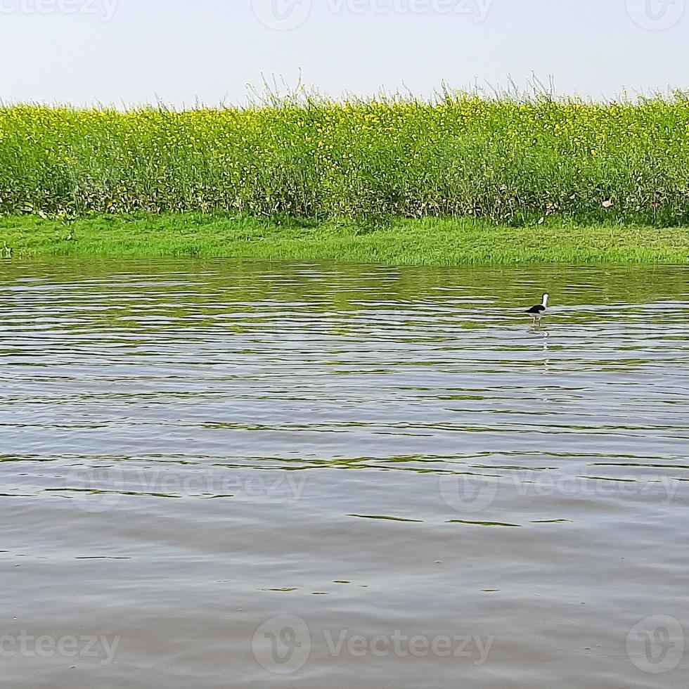 Blick auf den Yamuna-Fluss vom Boot am Tag in Vrindavan, Krishna-Tempel Kesi Ghat am Ufer des Yamuna-Flusses in der Stadt Vrindavan, Bootfahren auf dem Yamuna-Fluss Vrindavan foto