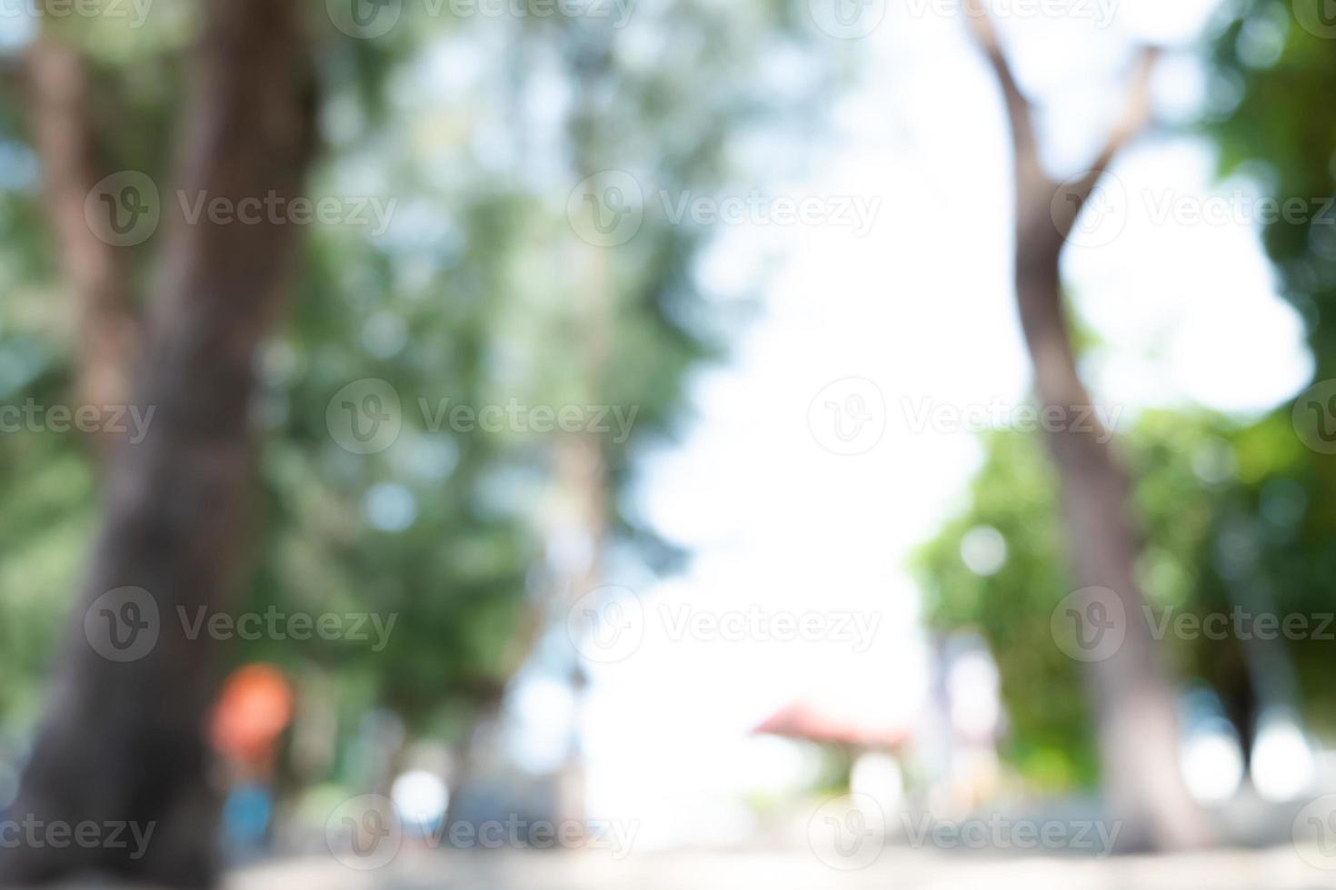 Unscharfe Kiefern am Meer in der Regenzeit, verschwommener grüner Bokeh-Licht-Naturhintergrund foto