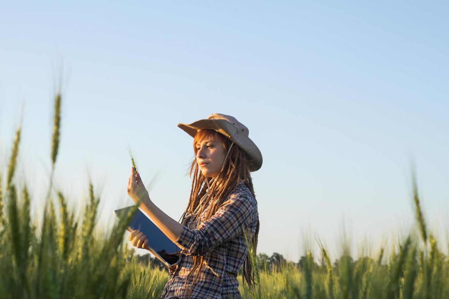 Junge Bäuerin arbeitet auf den Weizenfeldern mit dem Tablet in den Händen foto