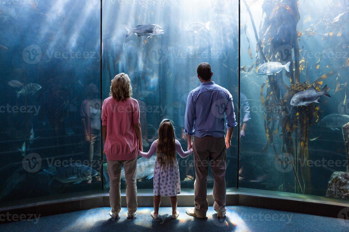 Familie, die Aquarium betrachtet foto