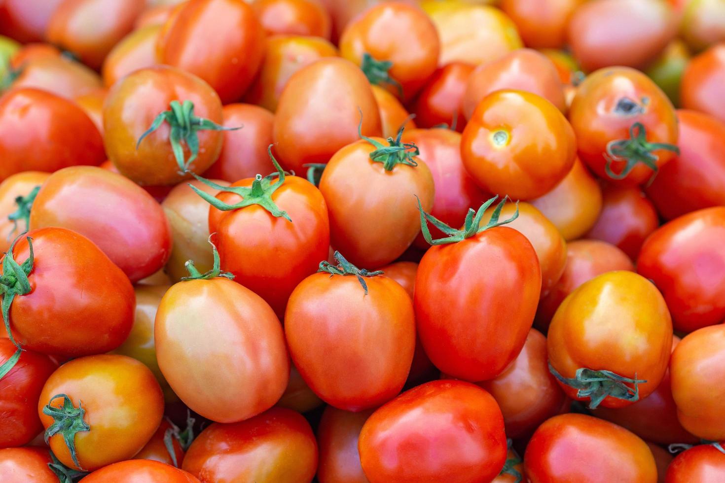 Haufen roter Tomaten zum Verkauf auf dem Frischmarkt foto