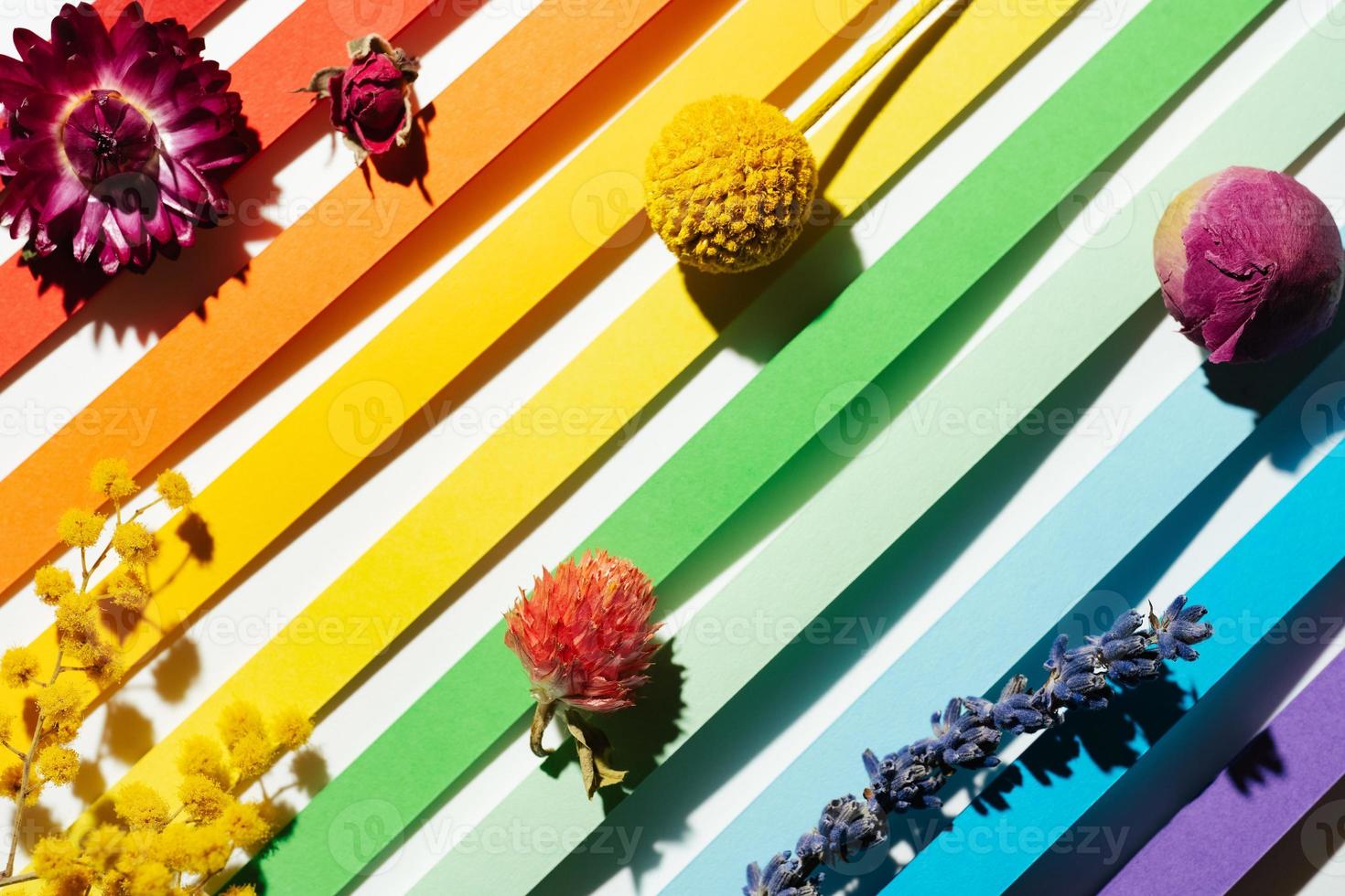 regenbogenfarbenes Papier streift Hintergrund mit trockenen mehrfarbigen Blumen foto