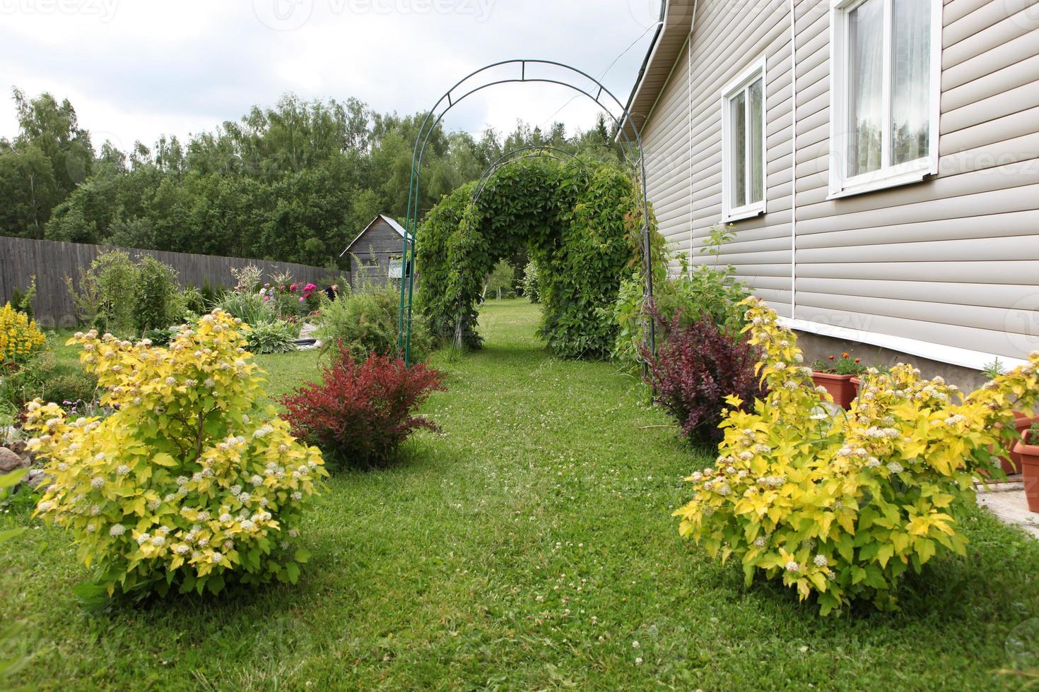 ein Gartengrundstück zur Erholung, mit schönen gelben und braunen Büschen, mit Traubenbögen und mit einem mit Abstellgleis ummantelten Haus, foto