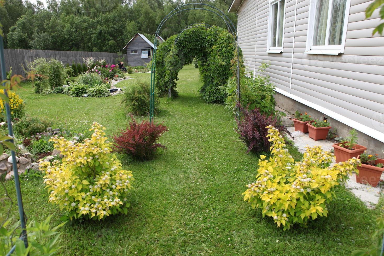 ein Gartengrundstück zur Erholung, mit schönen gelben und braunen Büschen, mit Traubenbögen und mit einem mit Abstellgleis ummantelten Haus, foto
