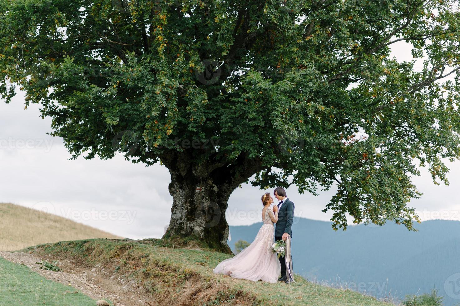 Wunderschönes Hochzeitspaar, das sich in der Nähe des Ufers eines Gebirgsflusses mit Steinen küsst und umarmt foto
