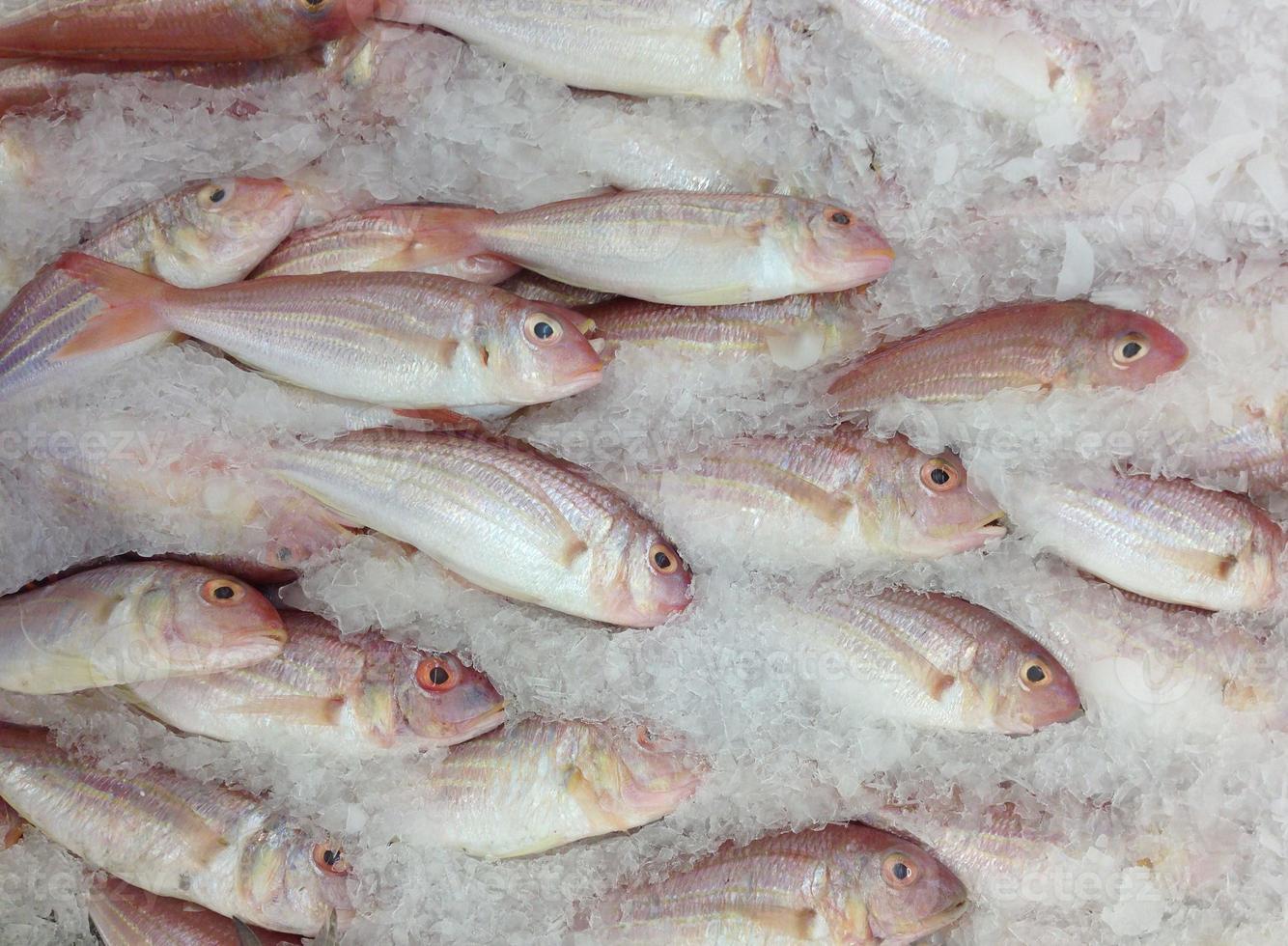 gefrorener Fisch auf dem Markt foto