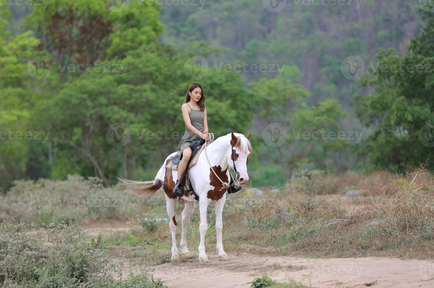 junge Frau mit ihrem Pferd im Abendsonnenunterganglicht. Outdoor-Fotografie mit Model Girl. Lifestyle-Stimmung foto