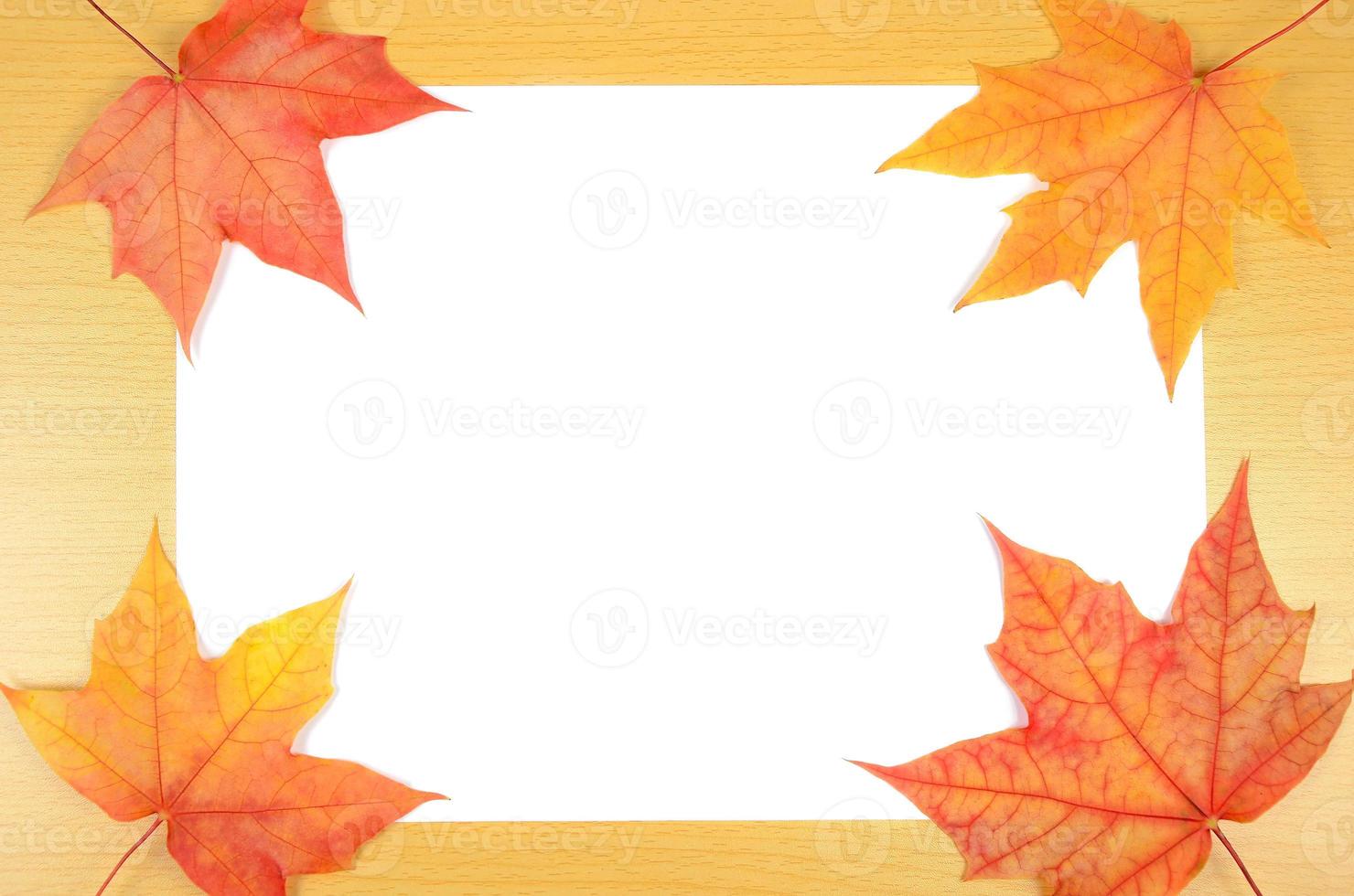 Herbstlaub und Blatt Papier foto