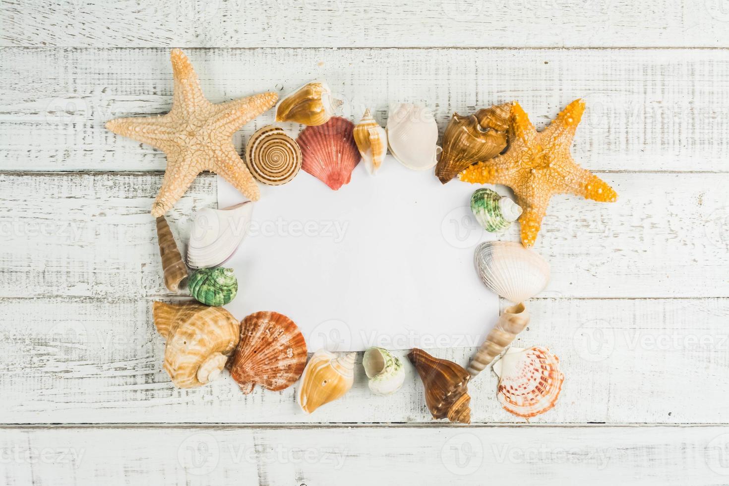 Meeresmuscheln auf weißem Holzhintergrund foto