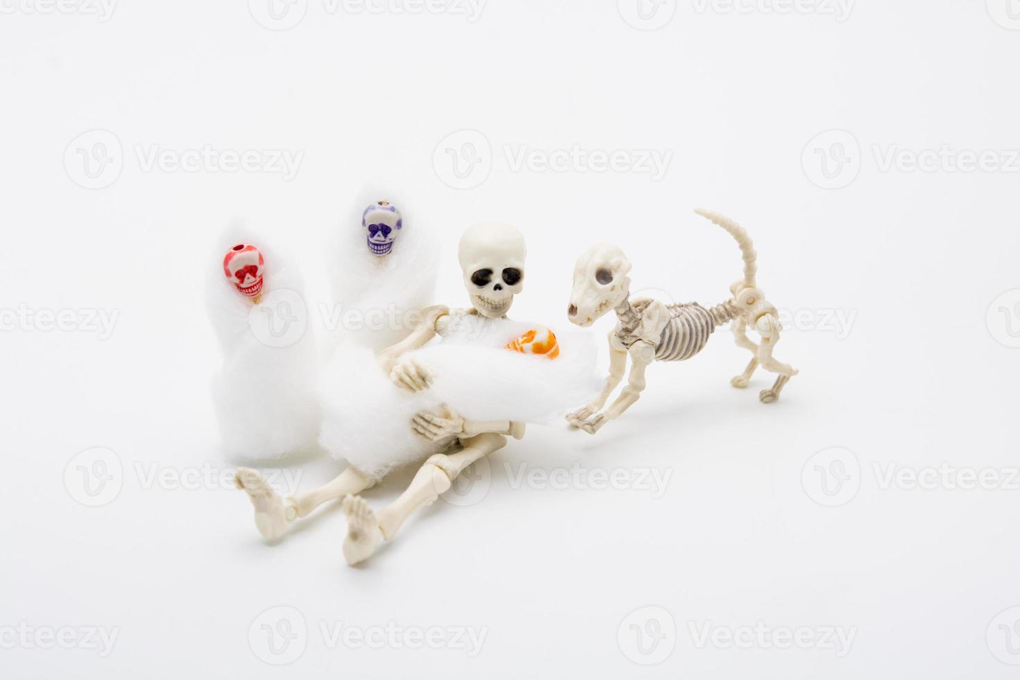 Skelettmutter mit ihren Kindern und einem Skeletthund foto