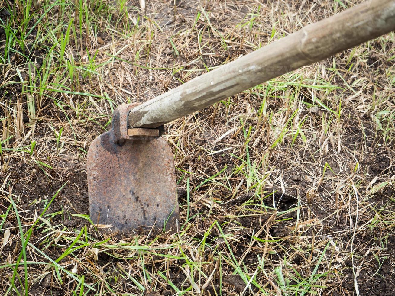 Hacke im Garten foto