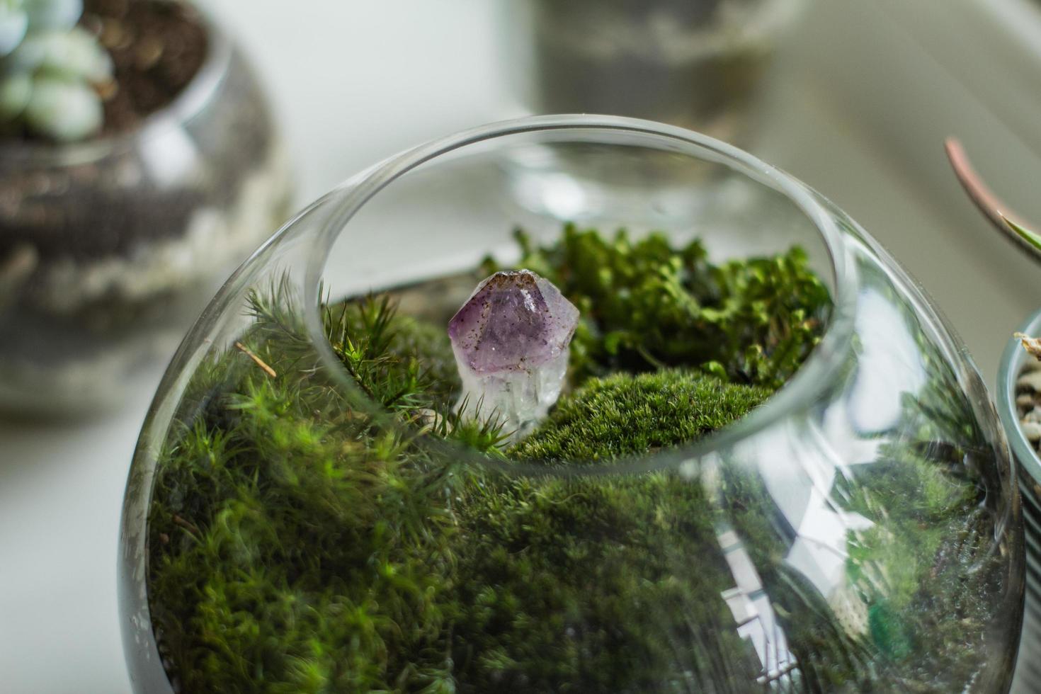 Florarium mit Moos und Sukkulenten drinnen auf weißem Tisch foto