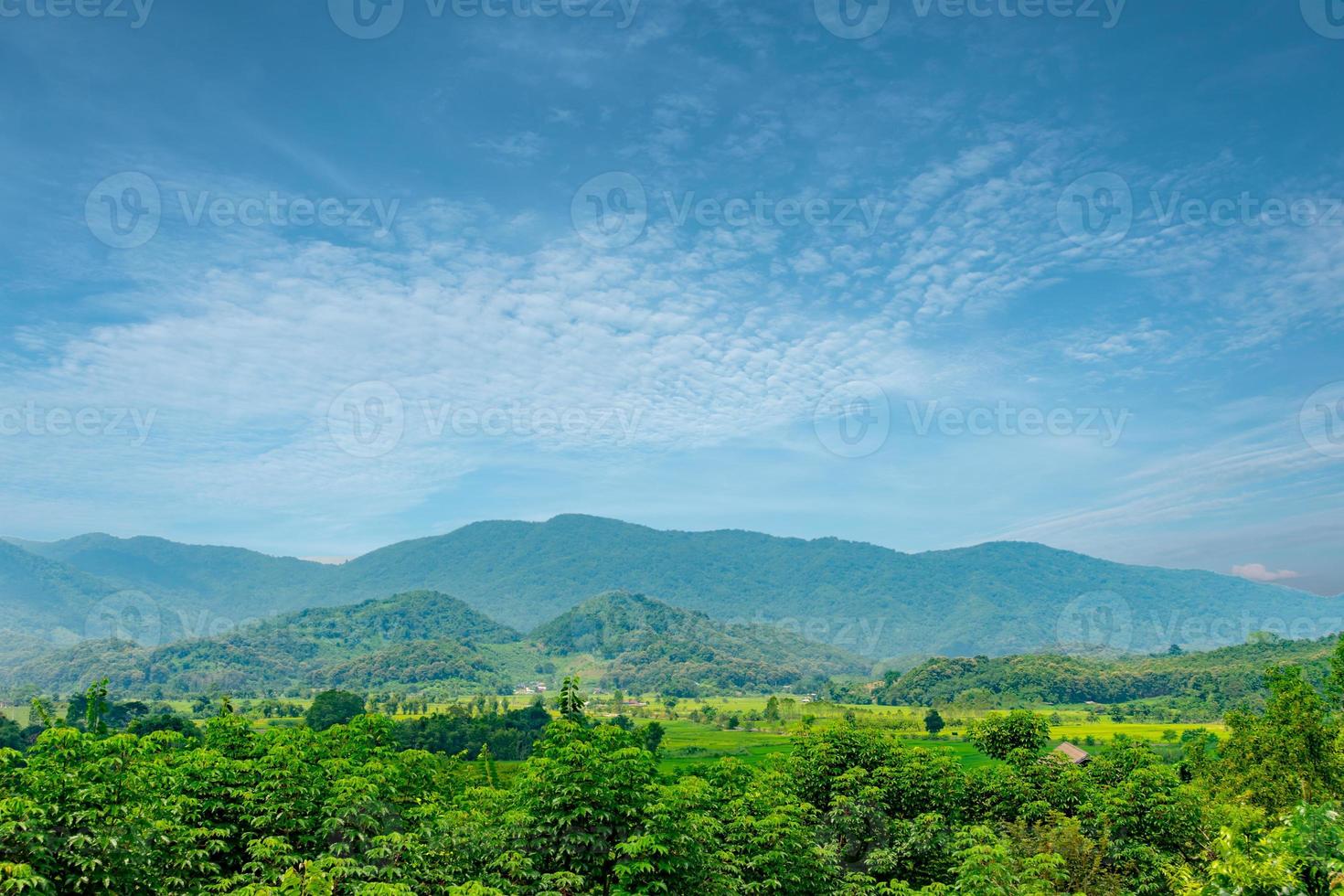 baum-, berg- und blauer himmellandschaft für sommerhintergrund oder banner foto