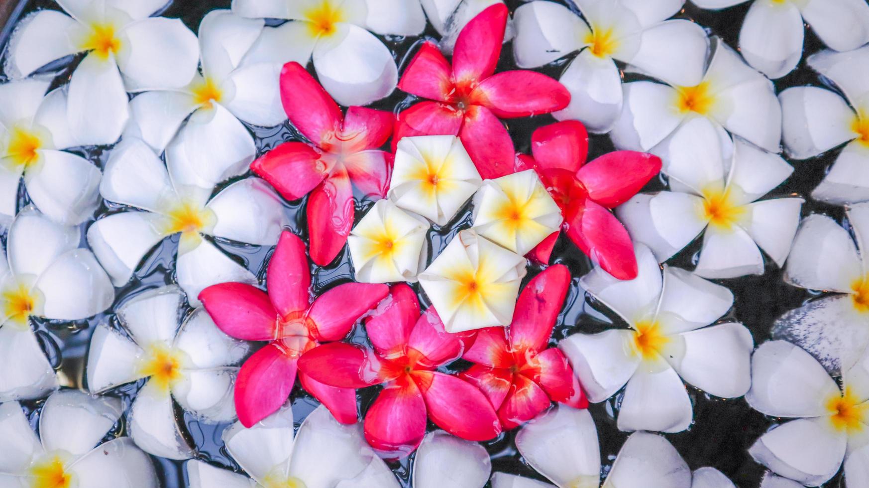 weiße und rosa blumen, die auf dem wasser schwimmen, blumenmusterhintergrund foto