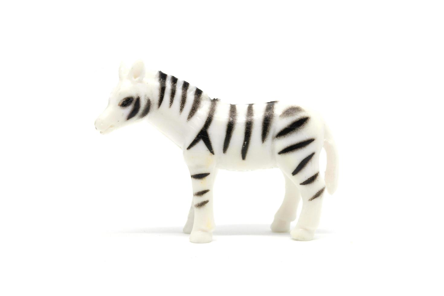 Zebra-Modell isoliert auf weißem Hintergrund, Tierspielzeug aus Kunststoff foto