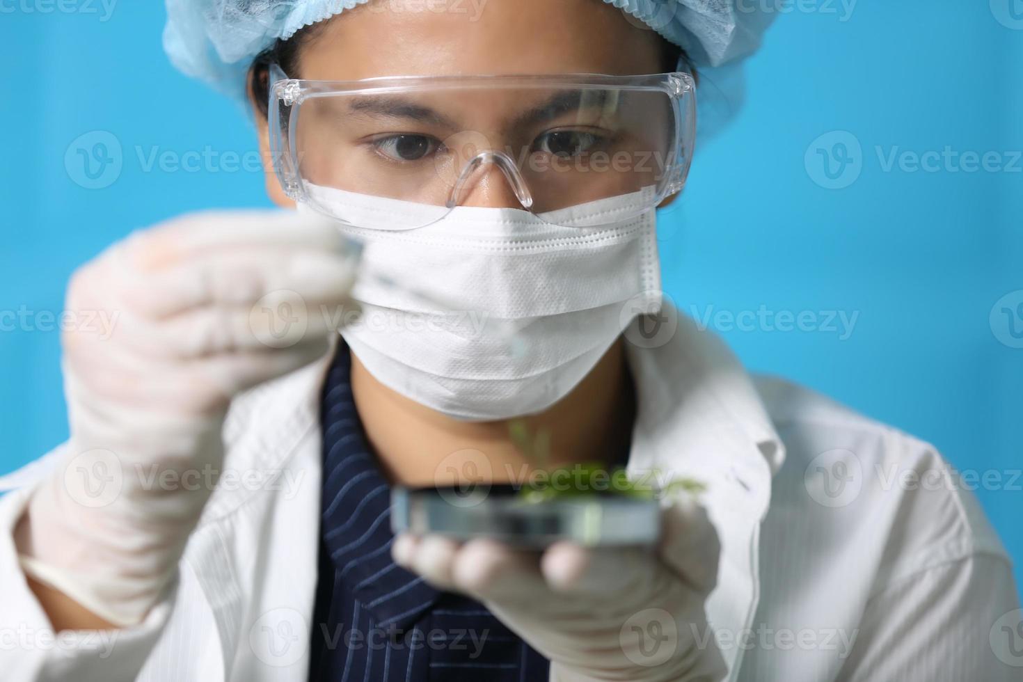 Forschung und Entwicklung im kosmetischen Labor . Science Bio Hautpflege-Creme-Serum-Produkt mit Blättern. natürliches organisches schönheitskosmetikkonzept. Kosmetologie. foto