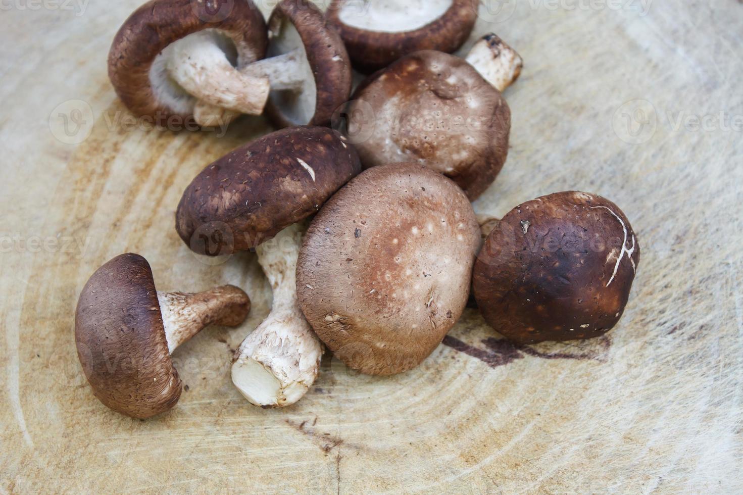 Shiitake-Pilze auf einem Holzbrett foto