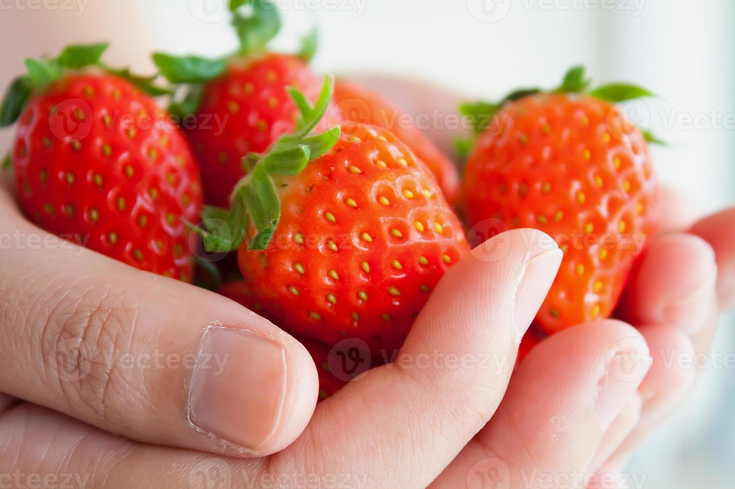 Hände halten Erdbeeren foto