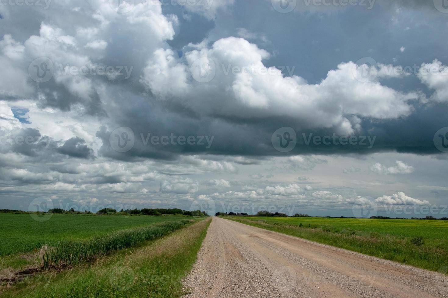 Landstraße und Ackerland, Saskatchewan, Kanada. foto