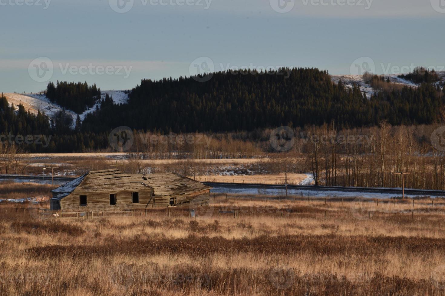 verlassenes Haus auf einem goldenen Feld foto