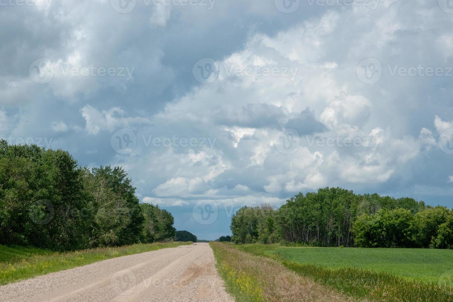 Landstraße und Ackerland, Saskatchewan, Kanada. foto