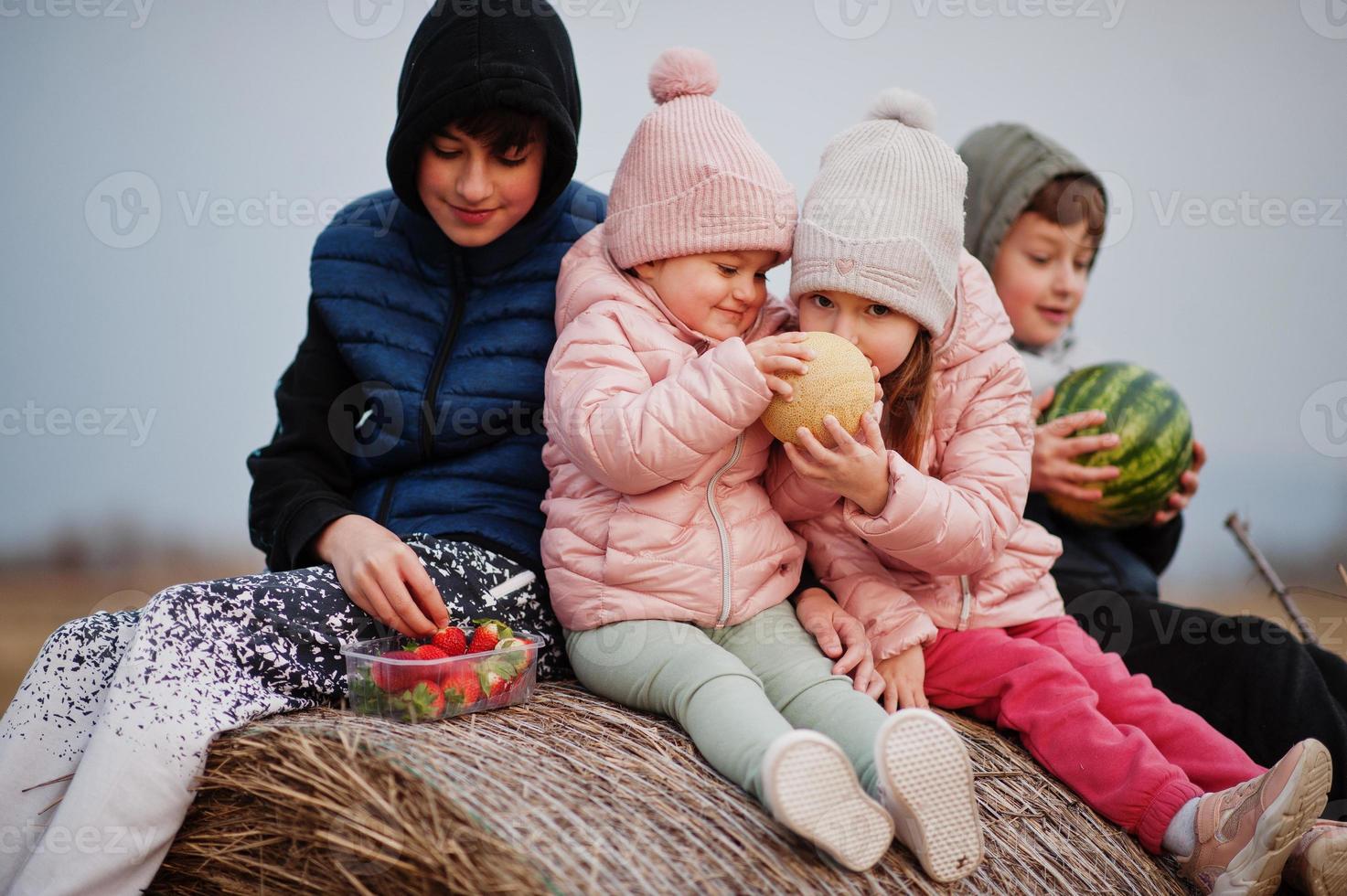 vier kinder mit früchten in den händen sitzen auf heuhahn auf dem feld. foto