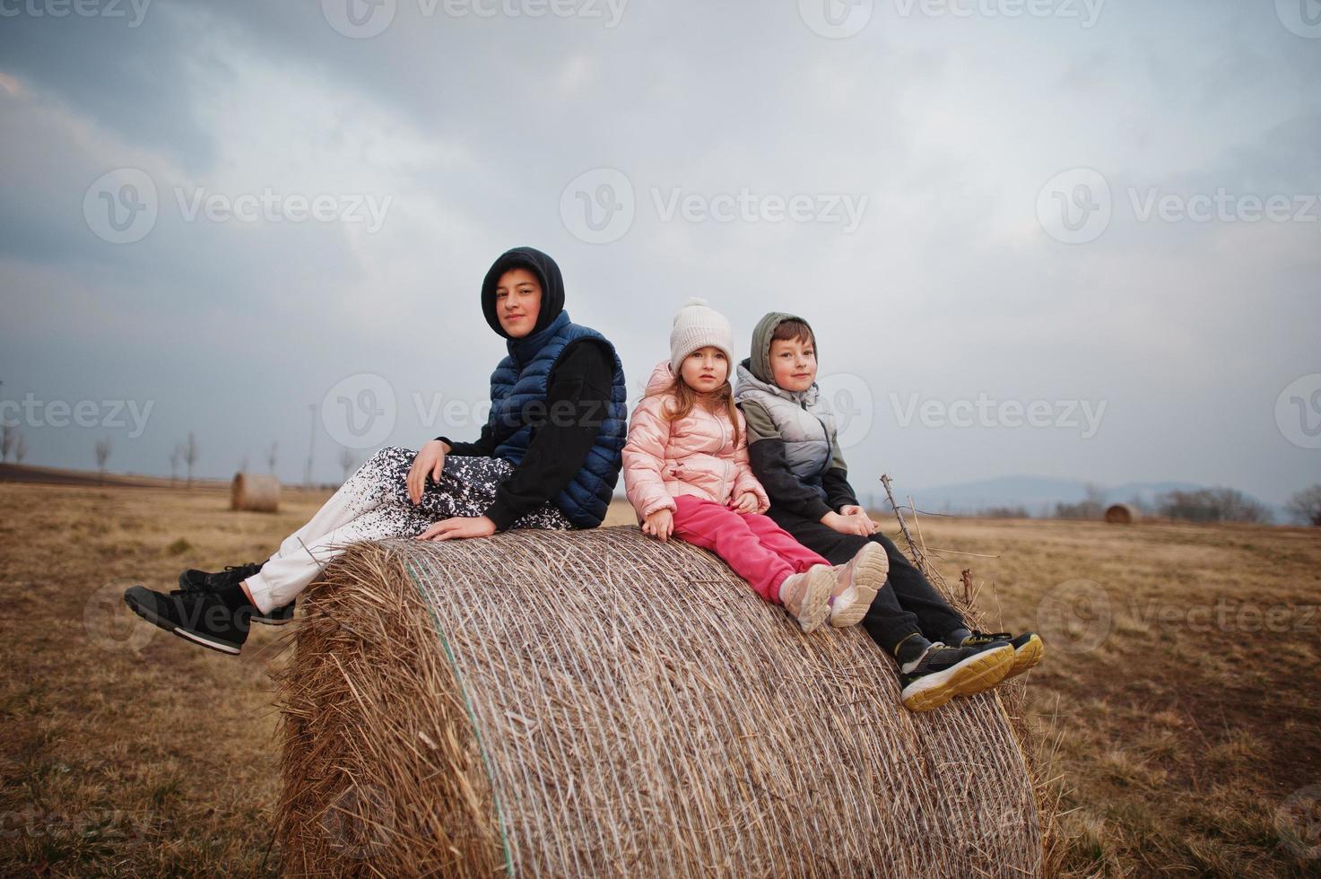 drei Kinder sitzen auf Heuhaufen auf dem Feld. foto