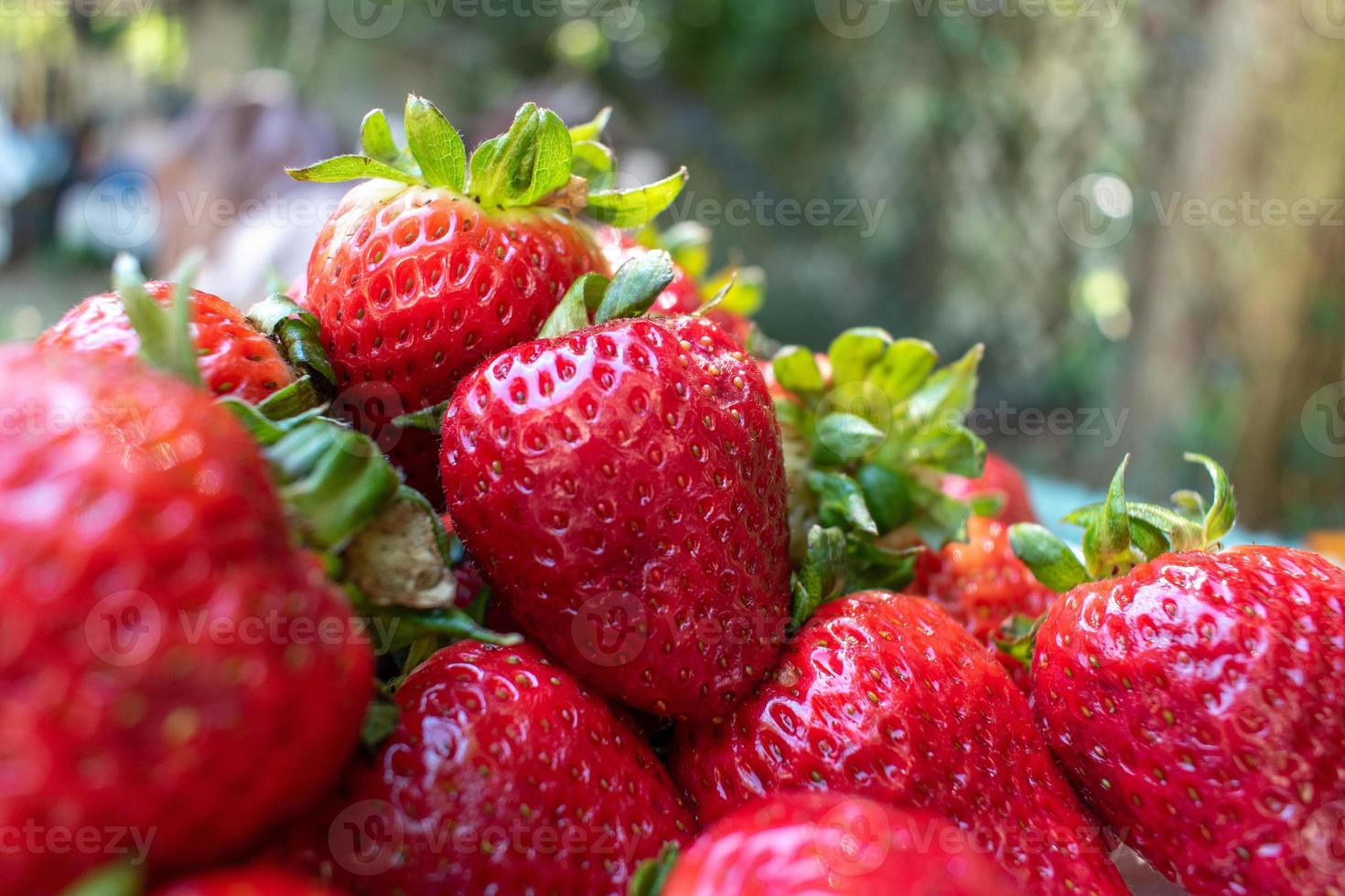 Haufen saftiger roter Sommererdbeeren auf weißem Teller im Sonnenlicht foto