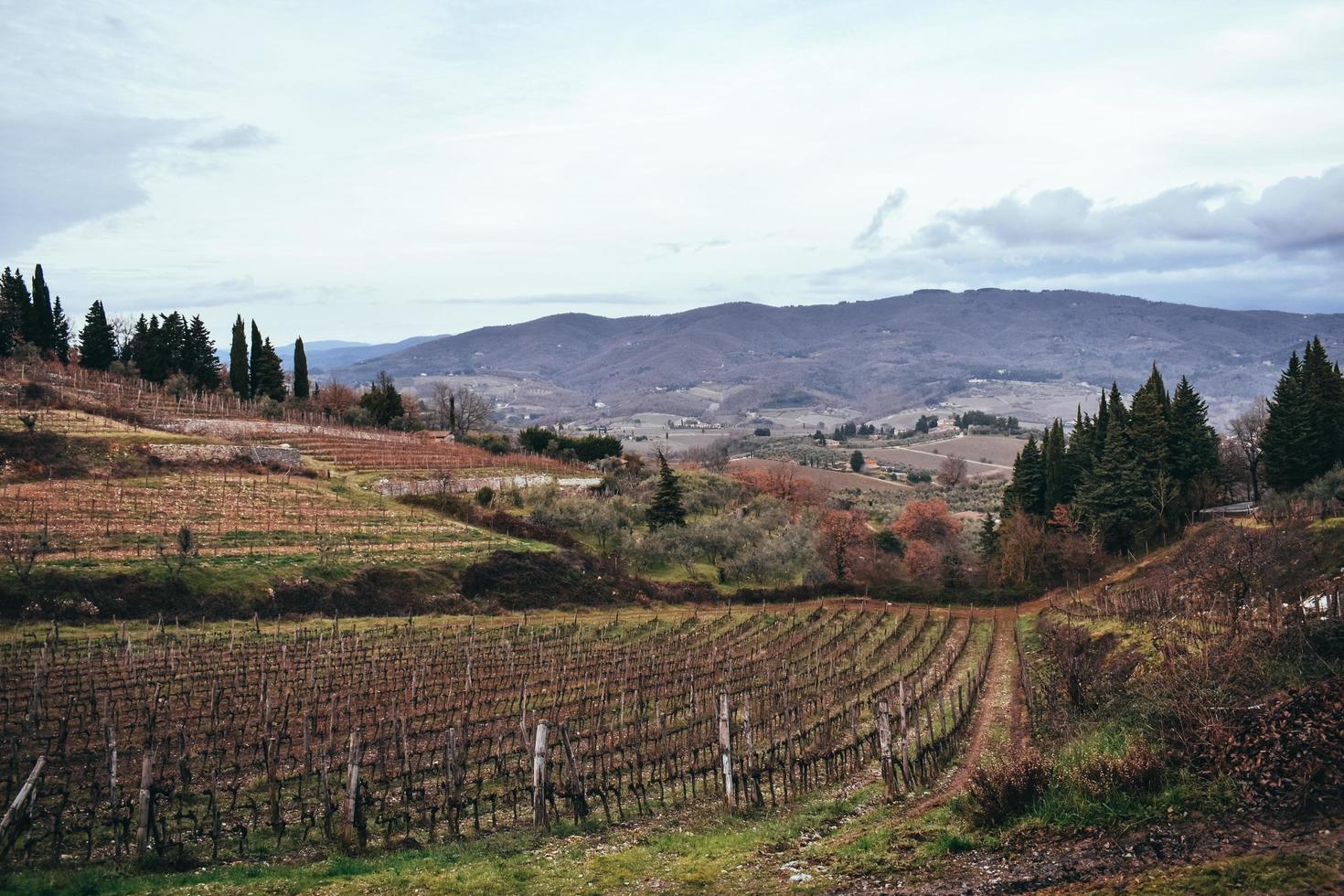 Weingut in der Toskana mit Bergen im Hintergrund foto