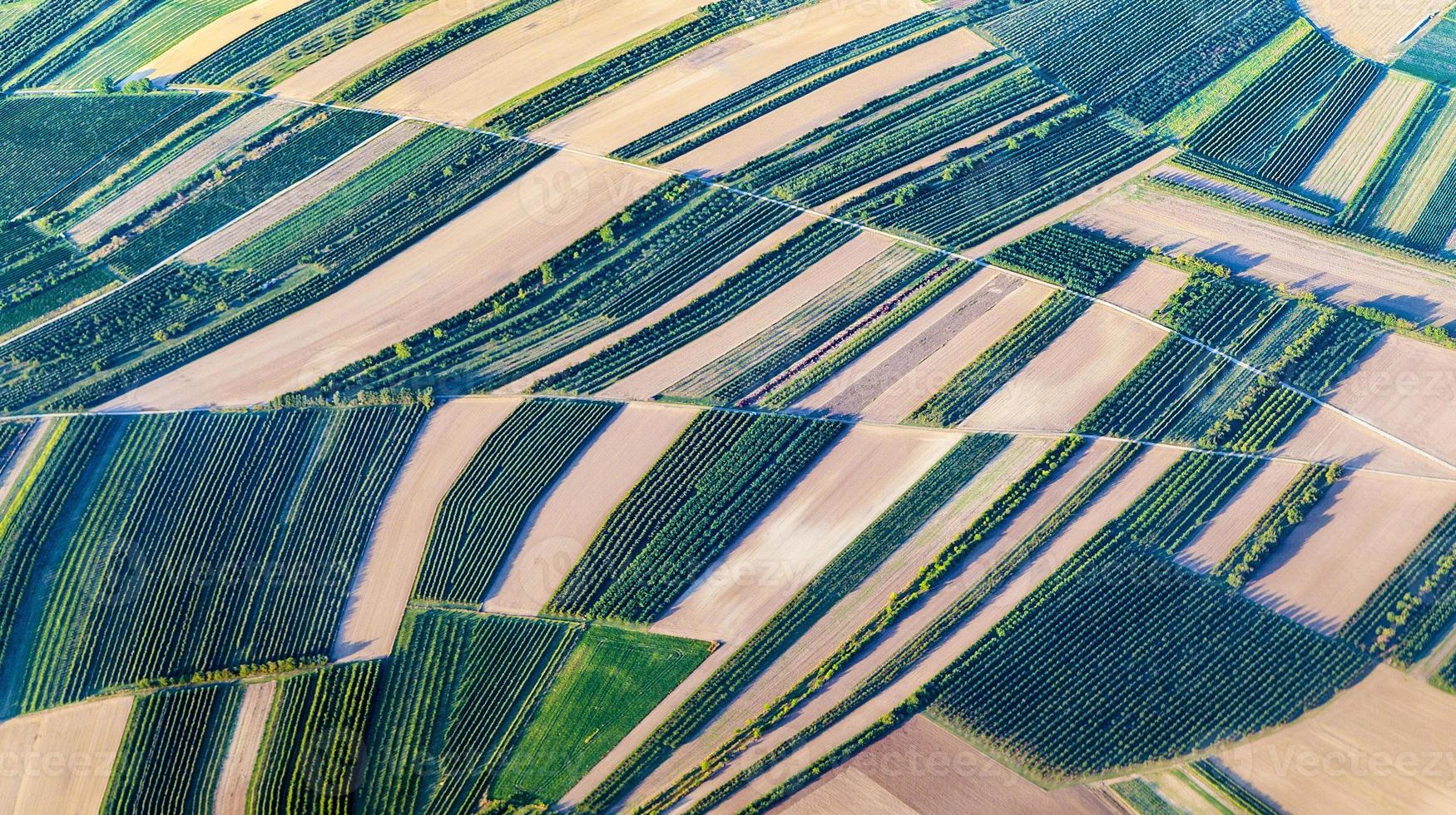 Luftaufnahme von grünen Feldern und Hängen foto