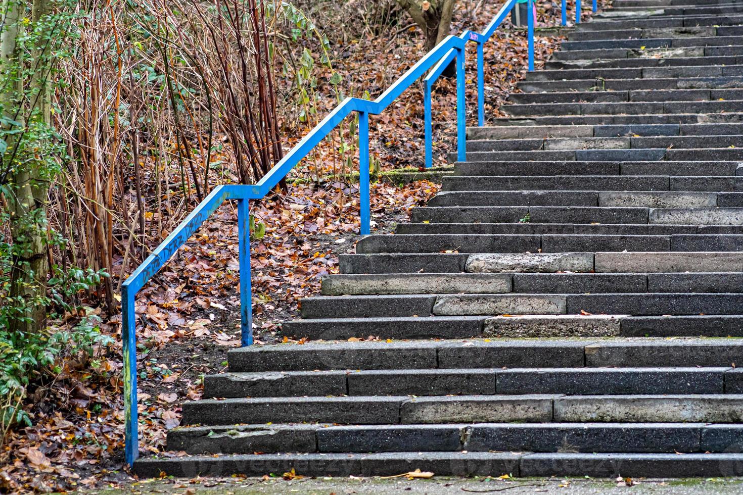 eine Aufnahme einer Treppe in einem Park foto