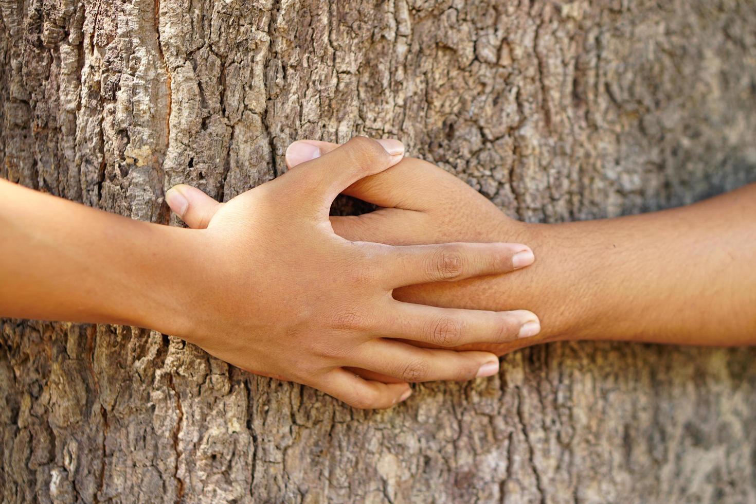 erdliebeskonzept, menschliche hand, die den baum mit liebe berührt foto