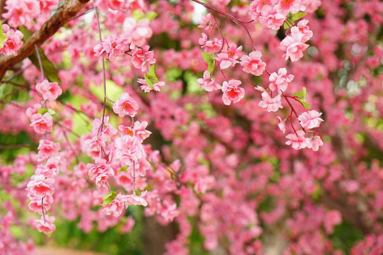 rosa Blumenhintergrund, der erfunden wurde, um echte Blumen zu ersetzen foto