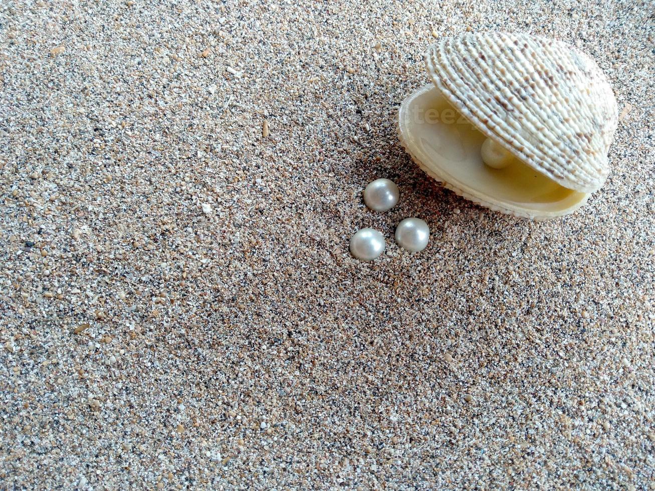 Shell mit einer Perle auf einem Strandsand foto