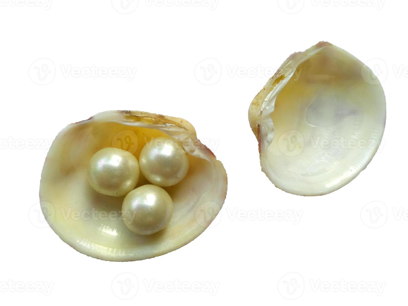 Schale und Perle isoliert auf weißem Hintergrund foto