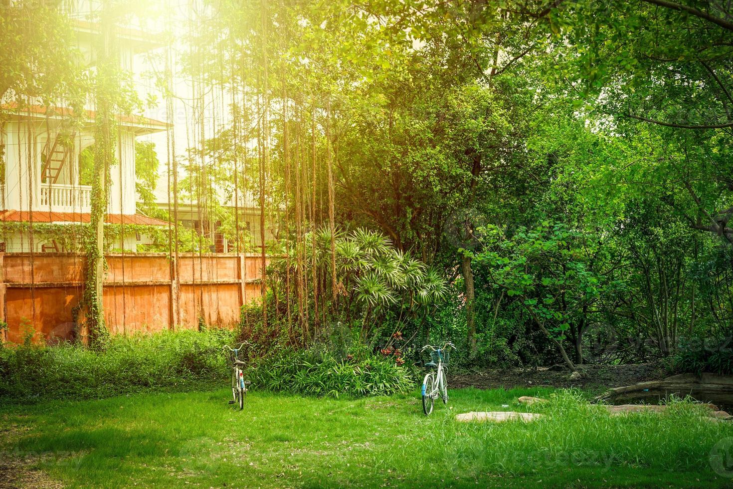 Zwei Fahrräder im Garten mit Sonnenlichteffekt foto