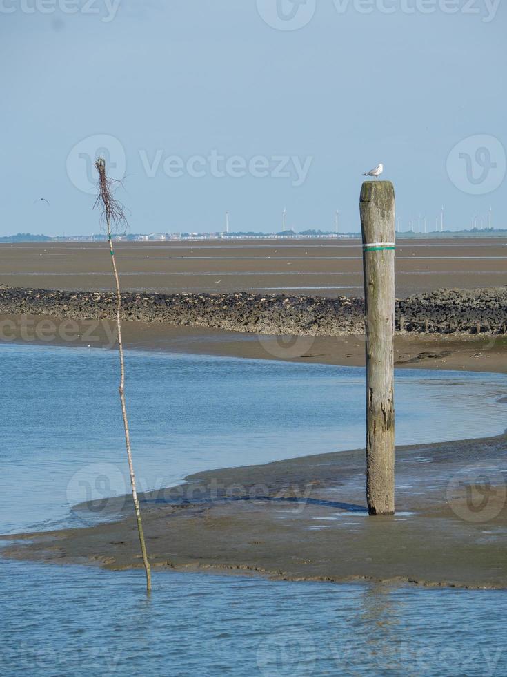 Insel Baltrum in der Nordsee foto