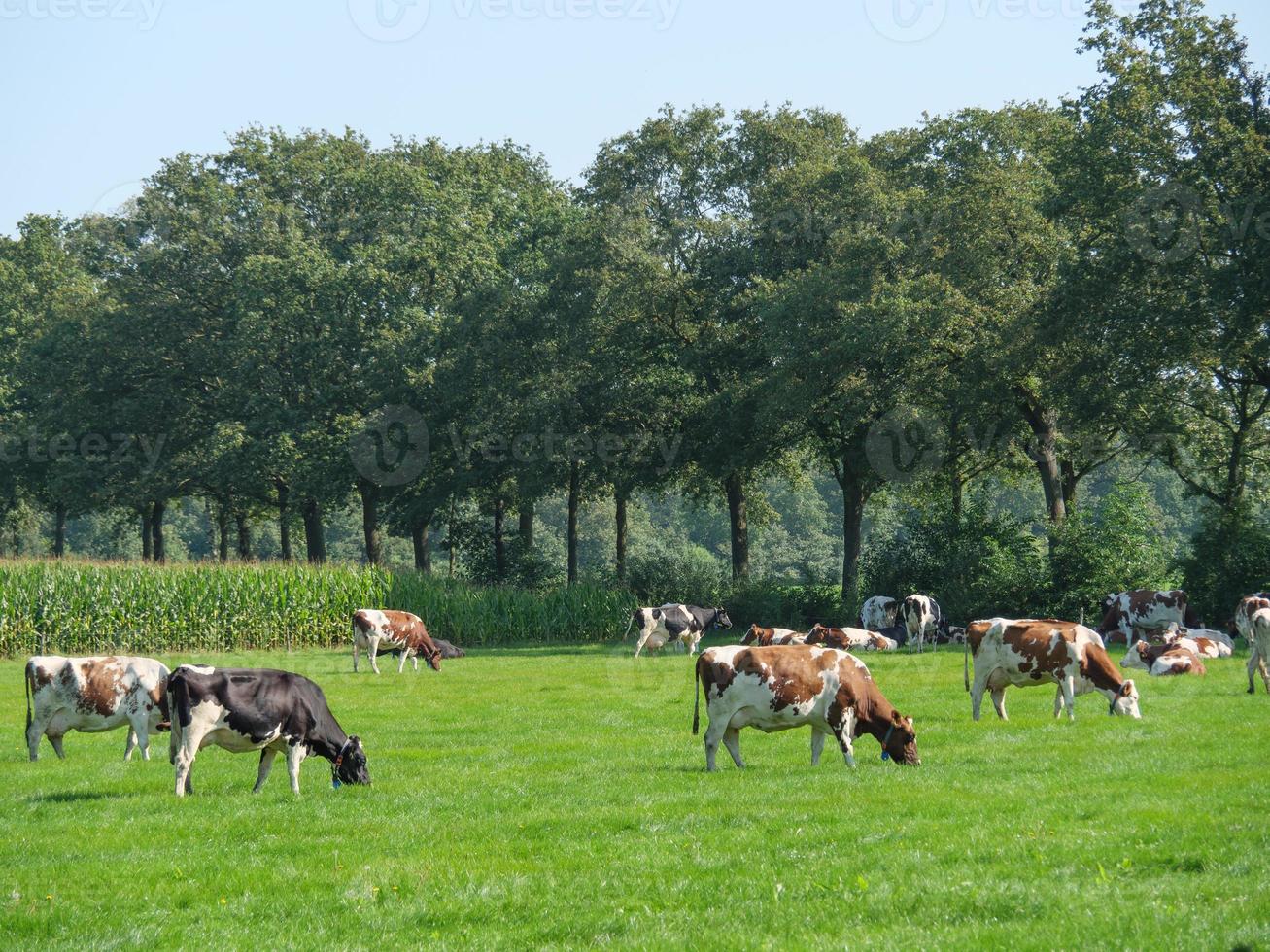 Bredevoort in den Niederlanden foto