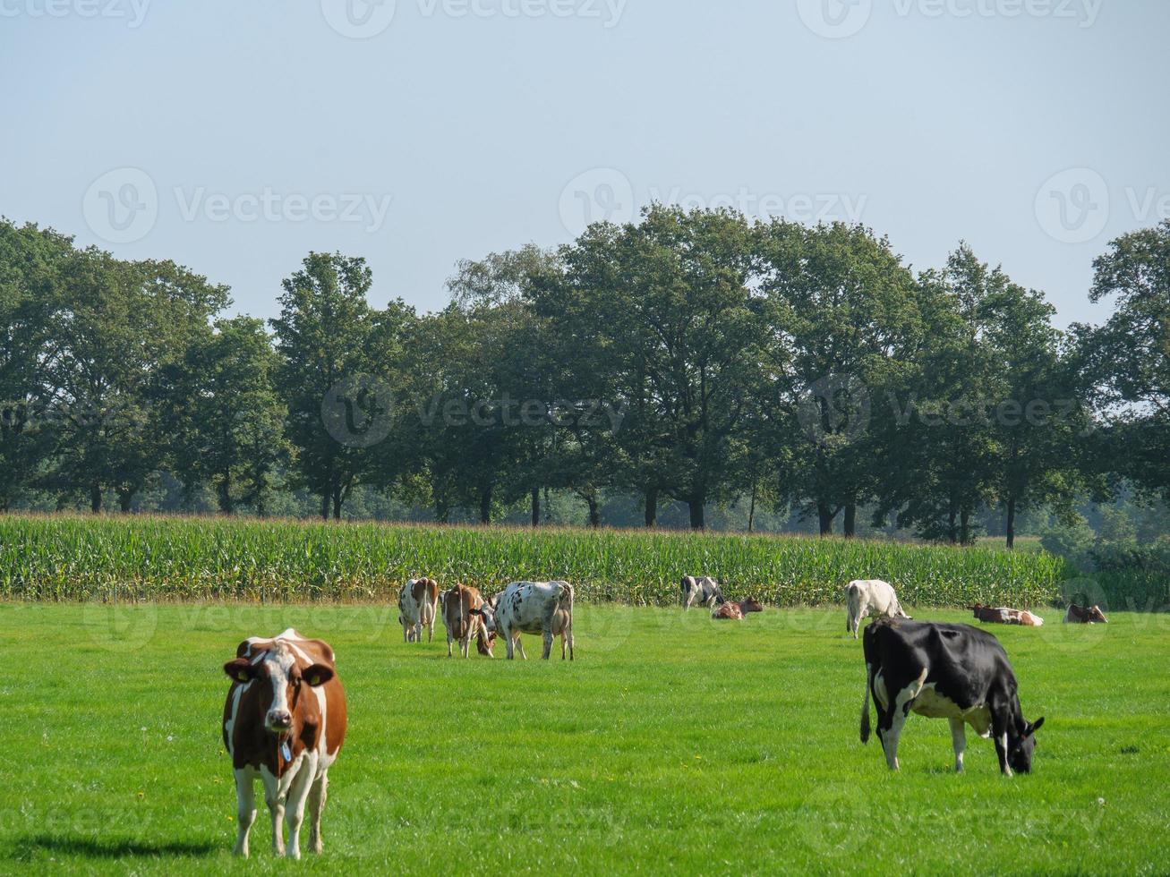 Bredevoort in den Niederlanden foto