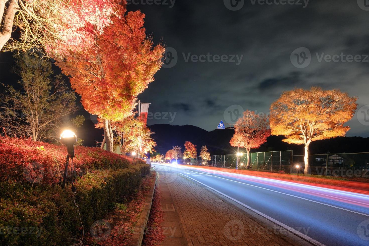 Autolicht auf der Straße dekorative Ahornbaumbeleuchtung foto