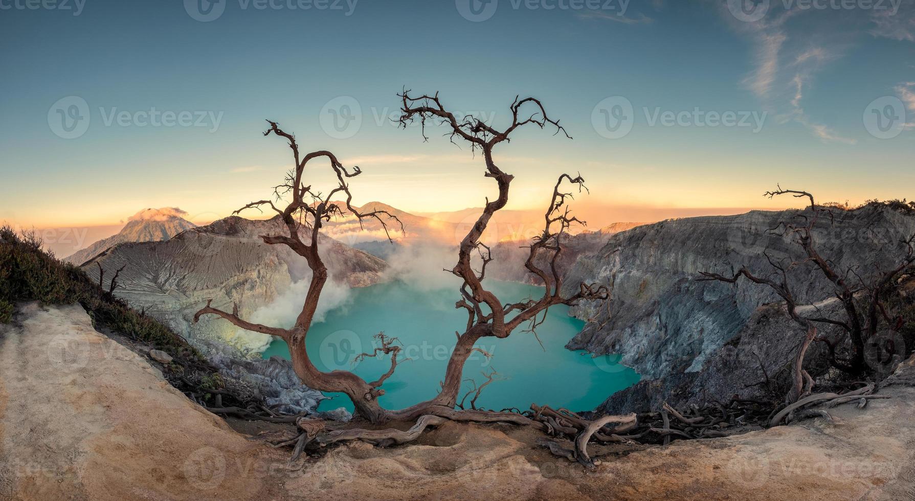getrockneter Baum auf aktivem Vulkankrater mit türkisfarbenem See im Morgengrauen foto