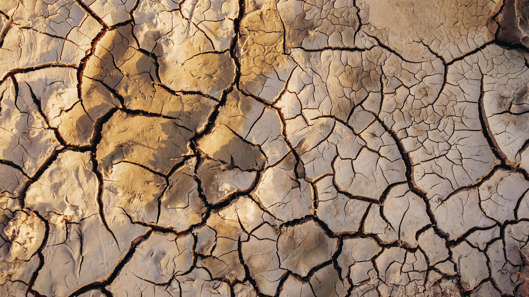 Risse im getrockneten Boden in der Trockenzeit für strukturierten Hintergrund. foto