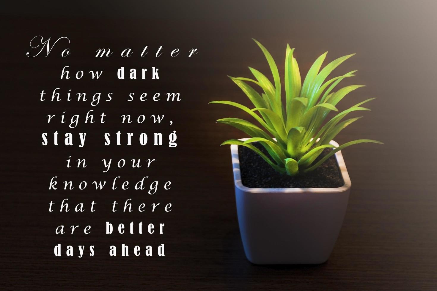 motivierendes und inspirierendes Zitat auf dunklem Hintergrund mit Topfpflanze foto