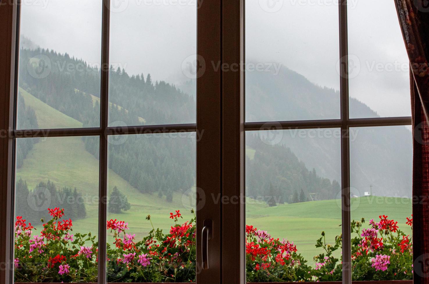 Fensterblick auf schöne Blumen auf der Schwelle und bewaldete Berge an einem nebligen Tag foto